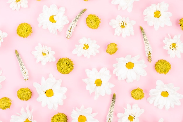 Free photo floral pattern made with white and yellow flowers on pink background