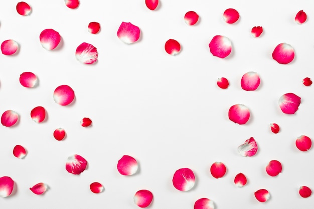 Free photo flower petals composition