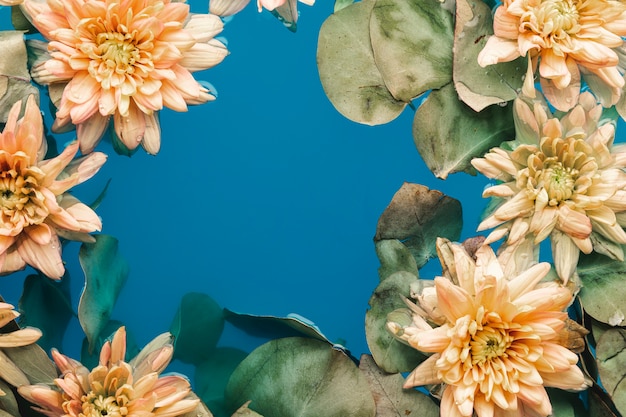 Free photo flowers with leaves in blue water with copy space