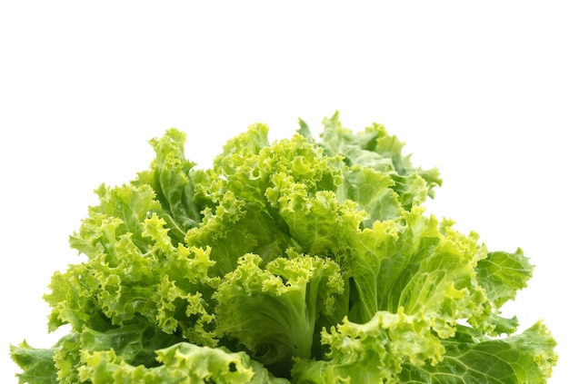 Free photo fresh lettuce