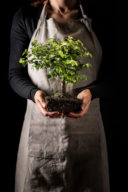 Free photo front view gardener holding little tree