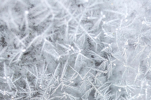 Free photo frost on a window