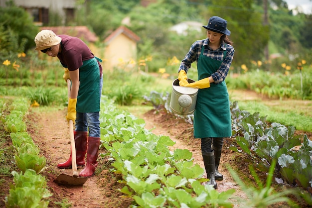 Free photo full shot of asian farmers cultivating crop in the farm