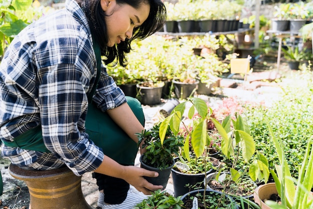 Free photo gardening