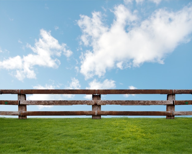 Free photo grass with clouds