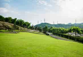 Free photo grassland landscape and greening environment park background