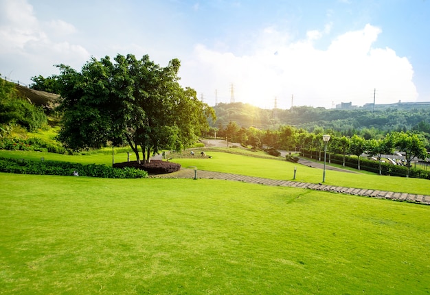 Free Photo grassland landscape and greening environment park background