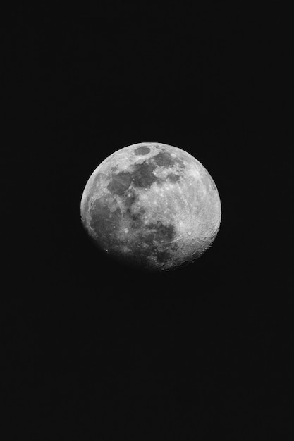 Free photo grayscale photo of full moon