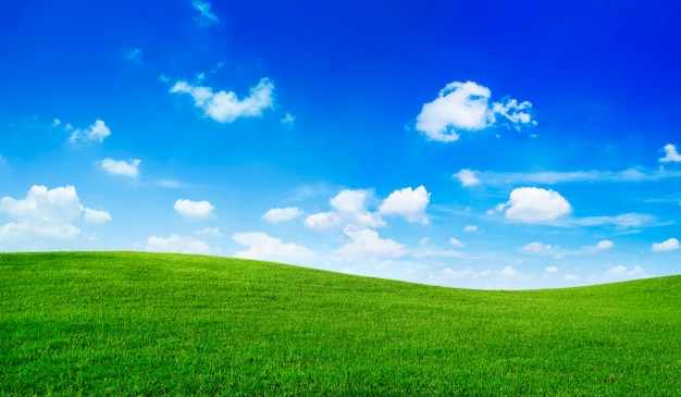 Free photo green field and blue sky