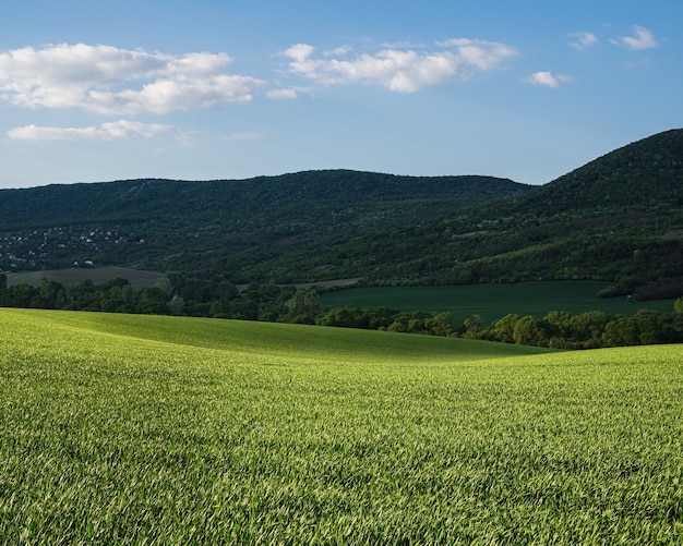 Free Photo green field with the cloudy morning sky with hills