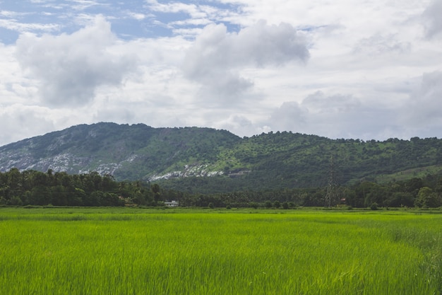 Free photo green field with mountain in the background