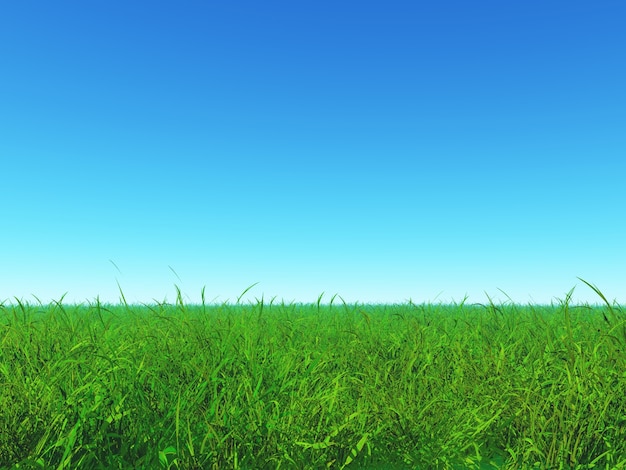 Free Photo green grass and blue sky