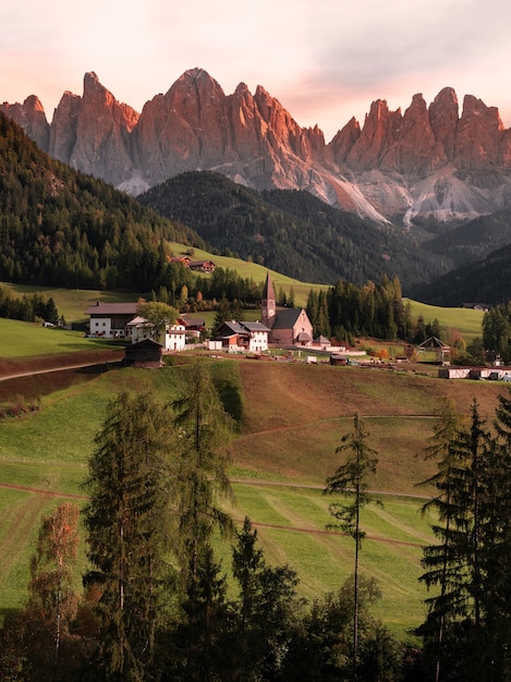 Foto gratuita campo di erba verde