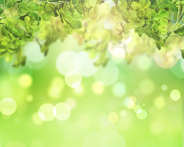 Free photo green leaves on a sunny bokeh lights background