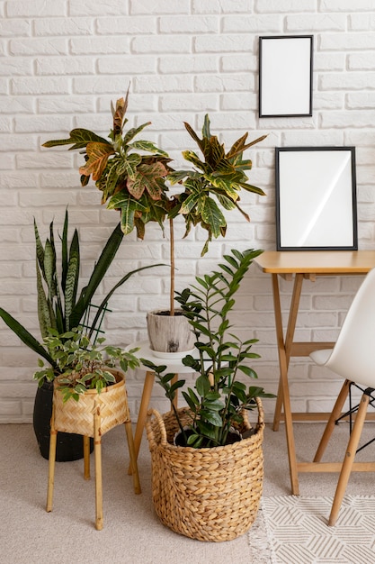 Free Photo green plants and wooden furniture