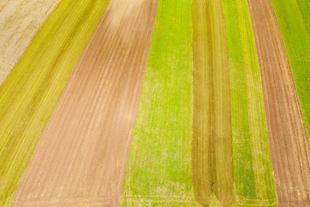 Free photo green and yellow colors of the harvested field-good for background