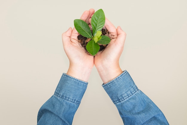 Free photo hands cupping plant save the environment campaign