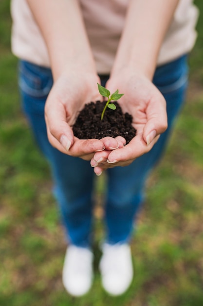 Free photo hands holding small plant