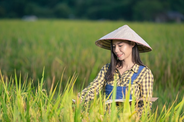 Free photo happy asian female write notes in rice fields