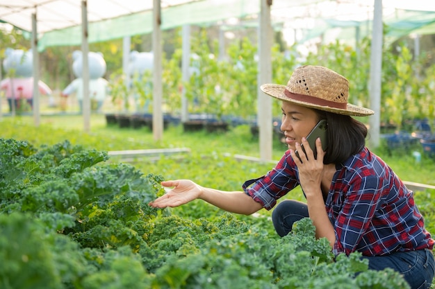 Free Photo happy asian woman  farmer harvest and checking fresh kale lettuce plant, organic vegetable in garden in nursery farm. business and farm market concept. female farmer using mobile phone.