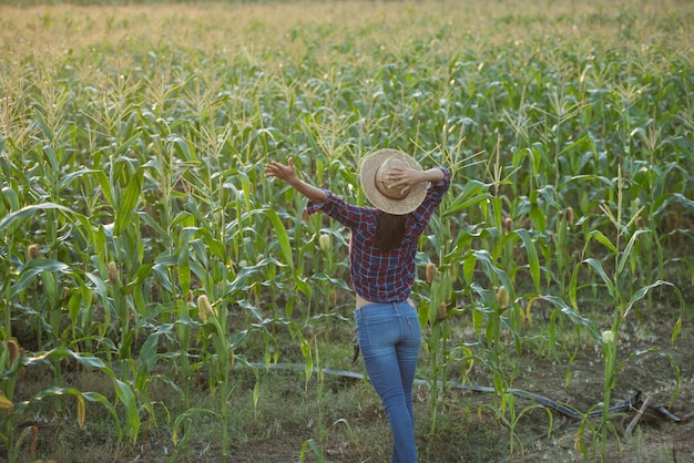 Free photo happy woman enjoying the life in the field, beautiful morning sunrise over the corn field. green corn field in agricultural garden and light shines sunset in the evening mountain background.