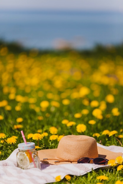 Free photo hat and sunglasses on the grass