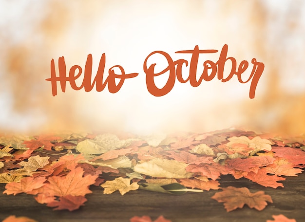 Hello october background with colorful leaves