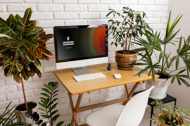 Free Photo high angle desk arrangement and plants