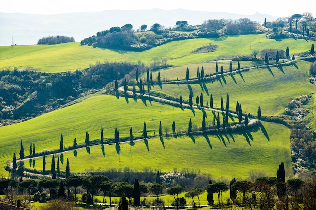 Foto gratuita inquadratura dall'alto di una strada circondata da alberi e splendidi campi ricoperti di erba