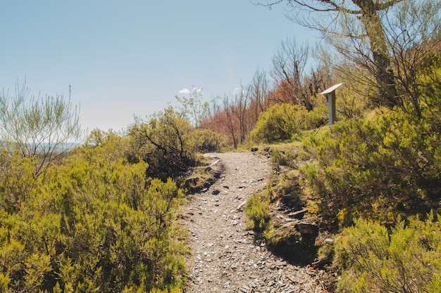 Free photo hiking path