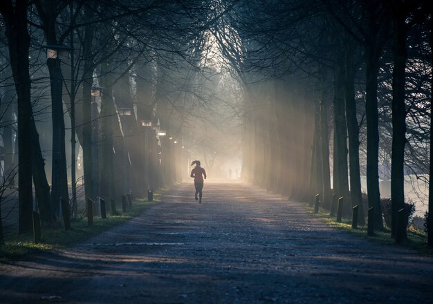 Horizontal shot of a path in a tree park with a woman in red tracksuit running on the path