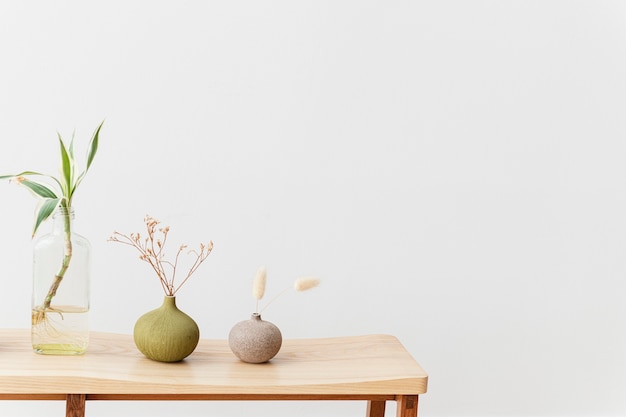 Free photo houseplants on a wooden table