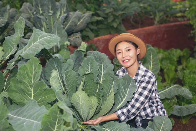 Free Photo inspection of vegetable garden quality by farmers 