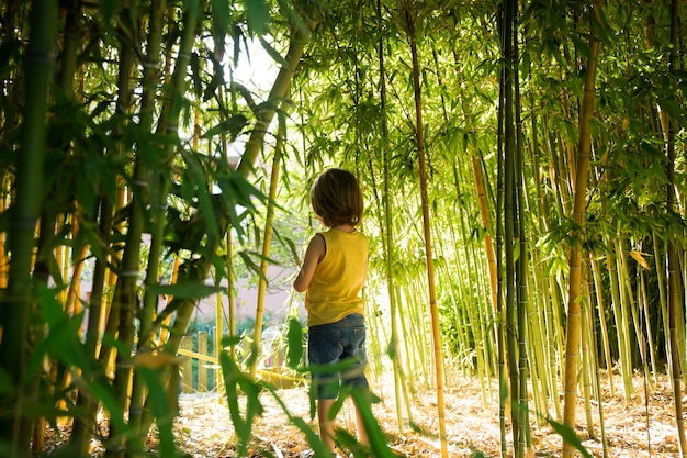 Free photo kid walking through a bamboo forest