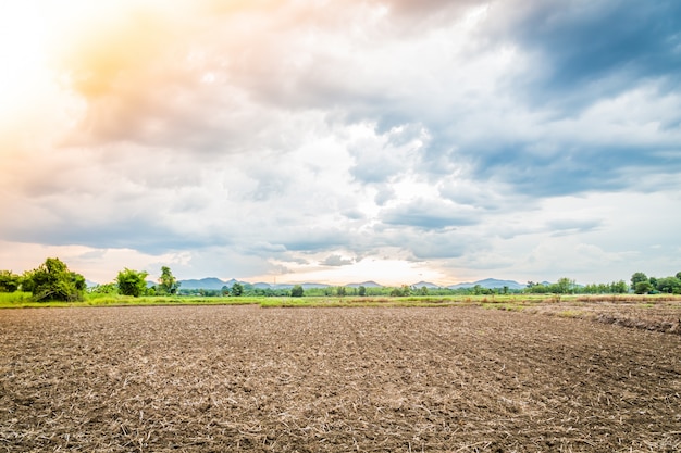 Free photo landscape of cultivated ground