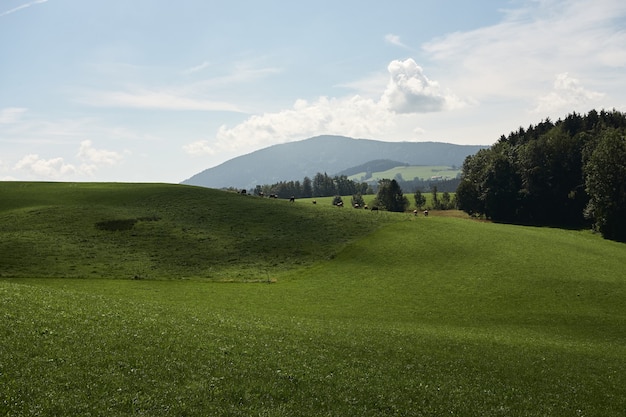 Free Photo landscape of hills covered in greenery under the sunlight and a cloudy sky in the countryside