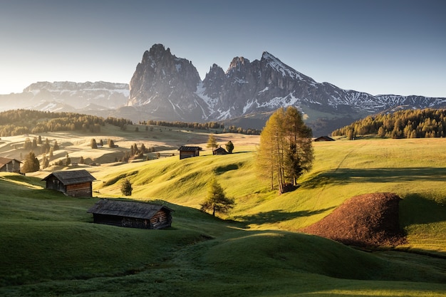 Foto gratuita paesaggio dell'alpe di siusi vicino alle montagne del gruppo del sassolungo sotto la luce del sole in italia