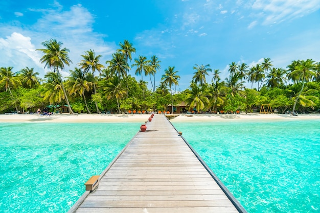 Foto gratuita estate palme tropicali vacanza paesaggio