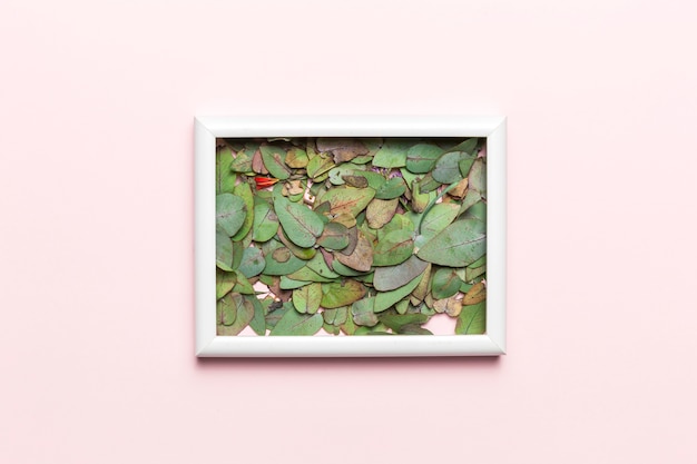 Leaves and frame