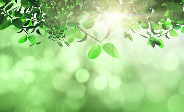 Free photo leaves and grass against a defocussed background