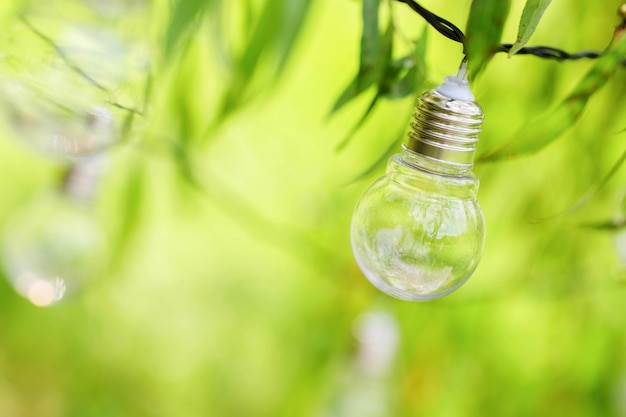 Foto gratuita le lampadine pendono sui rami