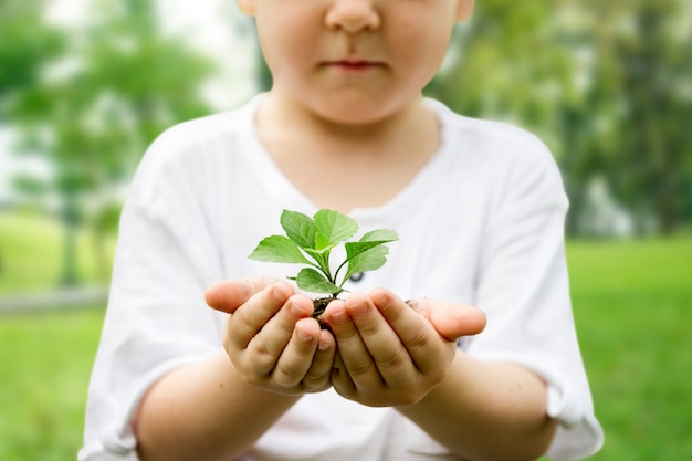 Free photo little boy holding soil and plant in the park

we are proud to s