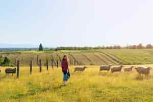 Free photo long shot woman shepherd in field