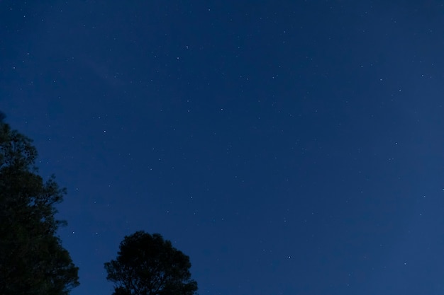 Free photo low angle night sky