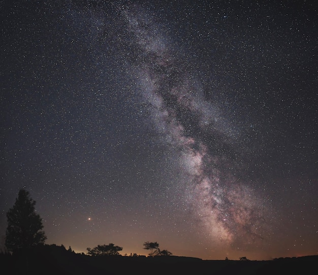 Free photo majestic night sky full of stars