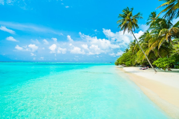 Foto gratuita isola delle maldive