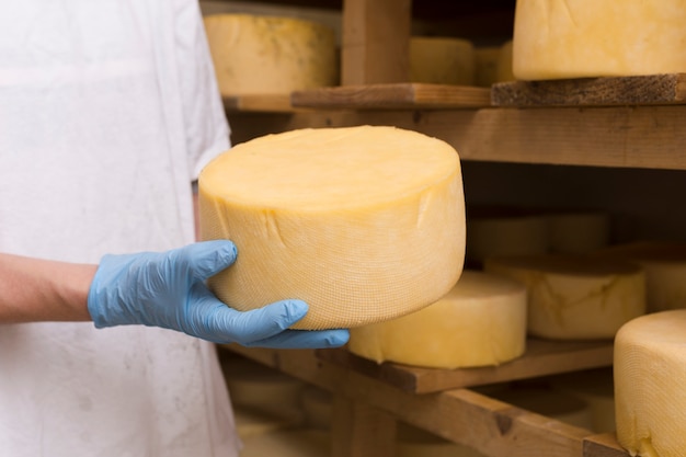 Man holding a cheese roll close-up