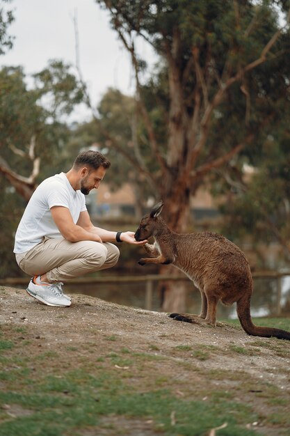 Man in the reserve is playing with a kangaroo