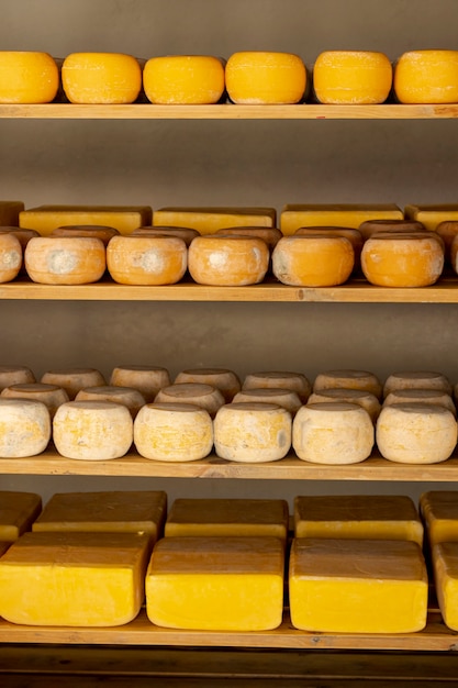 Matured cheese wheels on shelfs