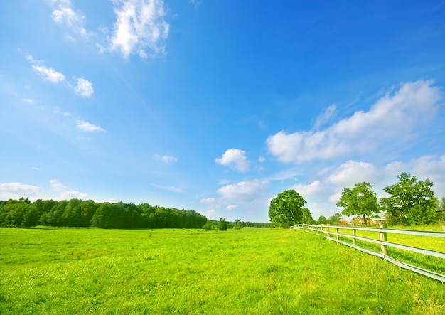 Free photo meadow with trees and a wooden fence